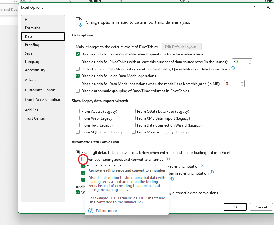 Screenshot showing the Data options (within the File Menu in Excel)